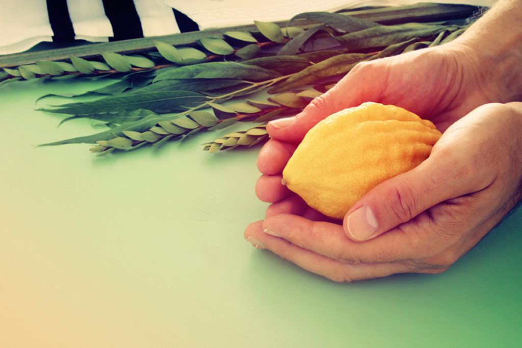 A Beautiful Etrog on Yom Kippur